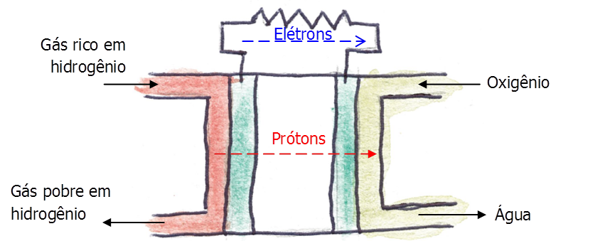 Entra gás rico e sai pobre em hidrogênio. Passam prótons pro outro lado onde entra oxigênio e sai água. Elétrons passam por fio