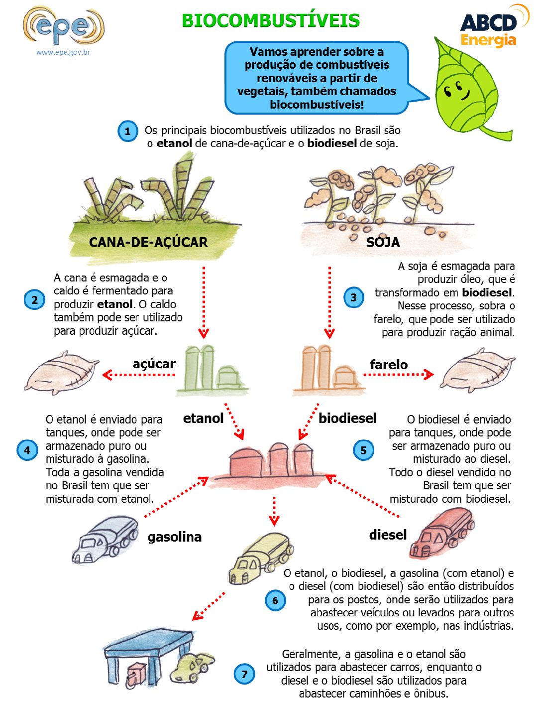 infográfico sobre biocombustíveis - dos vegetais até a chegada aos postos de gasolina