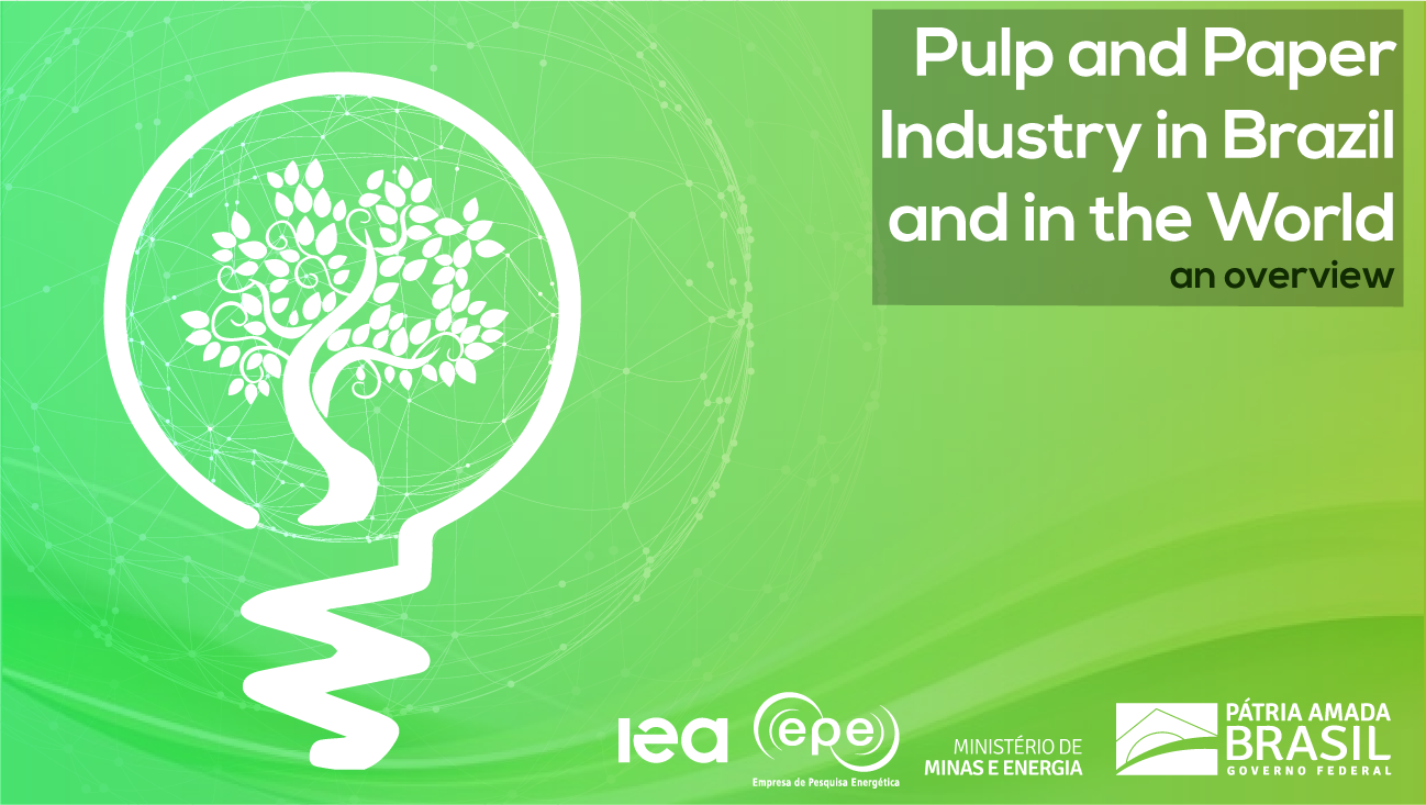 Capa IPCBM 2021 ENG (3).png